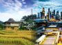 Potret Kehidupan Masyarakat Asia Pedesaan vs Perkotaan